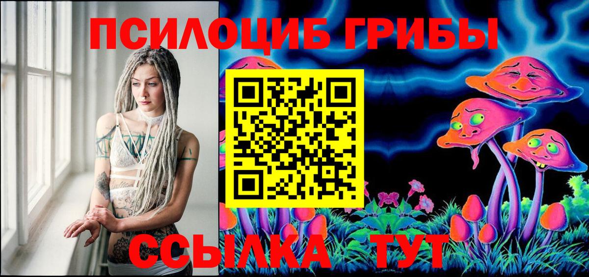 Джанкой  Псилоцибиновые грибы Psilocybe  Вход с VPN 